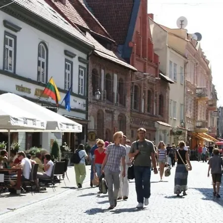 Private Free Sauna & 4 Bedrooms Old Town Rooftop * Vilnius