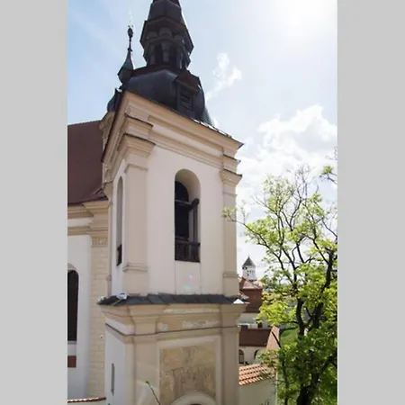 Апартаменты Private Free Sauna & 4 Bedrooms Old Town Rooftop Вильнюс