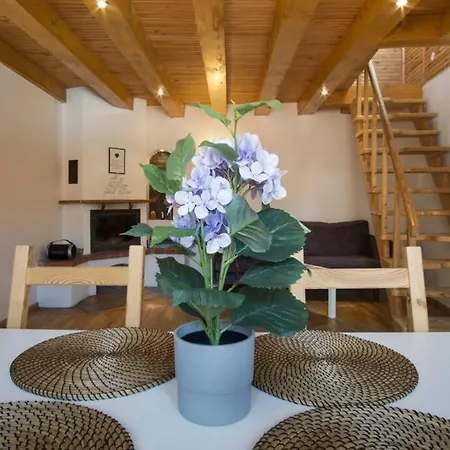 Private Free Sauna & 4 Bedrooms Old Town Rooftop