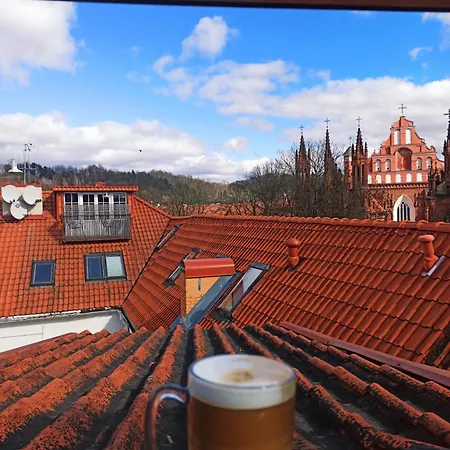 Private Sauna & 4 Bedrooms Old Town Rooftop Apartment Vilnius
