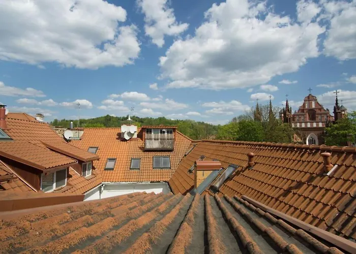 Apartamento Private Free Sauna & 4 Bedrooms Old Town Rooftop Vilnius