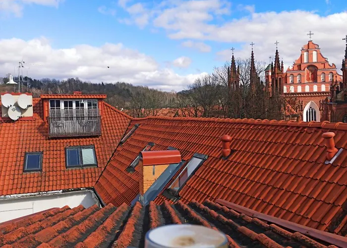 Private Free Sauna & 4 Bedrooms Old Town Rooftop Butas Vilnius