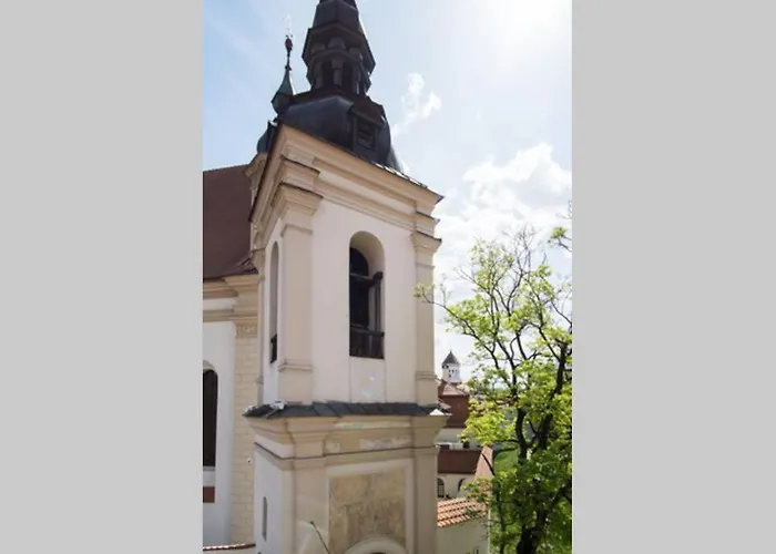 Appartement Private Free Sauna & 4 Bedrooms Old Town Rooftop Vilnius